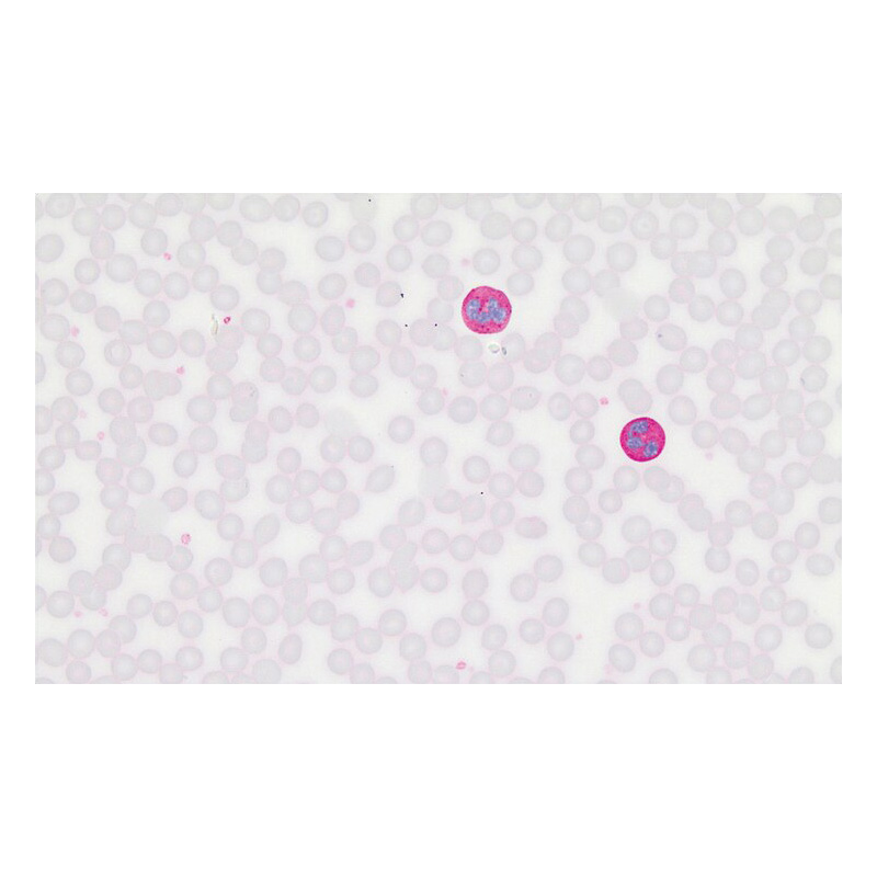 Microscopy Chemicals